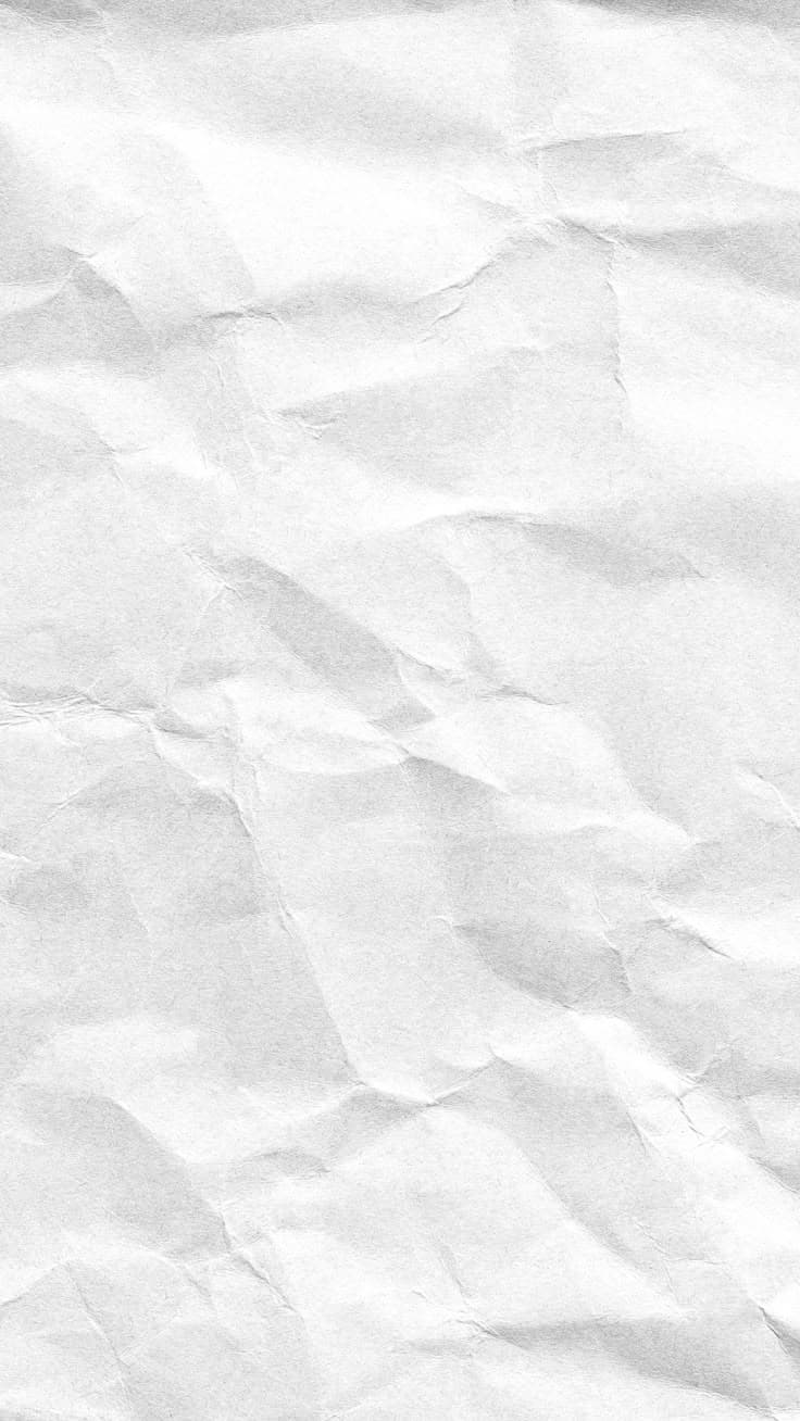 엔비원 25년 썸머컨벤션 <골든아워>, 성황리에 개최